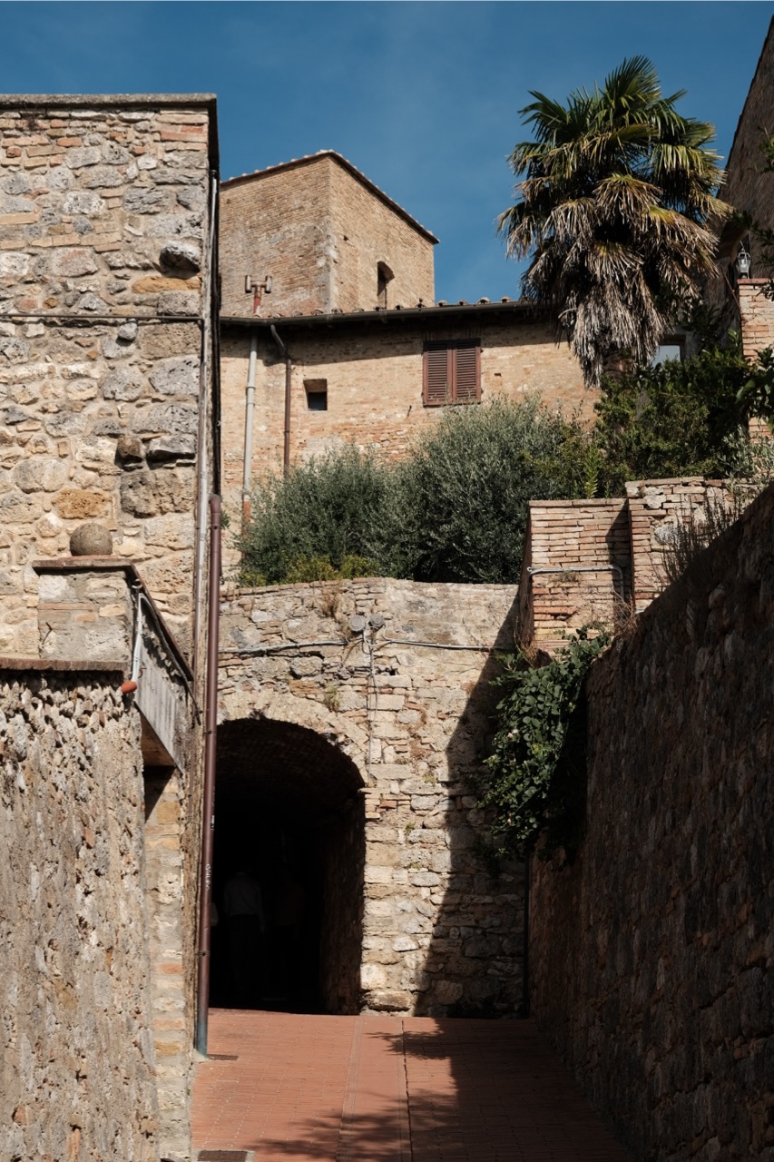 A San Gimignano wall with olive trees